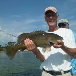 Cape San Blas Grouper