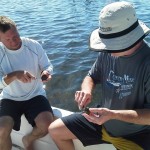 Shucking St Joe Bay Scallops