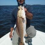 St Joe Bay Redfish