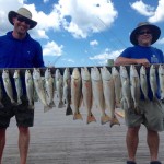 St Joe Bay Redfish, Trout and Flounder