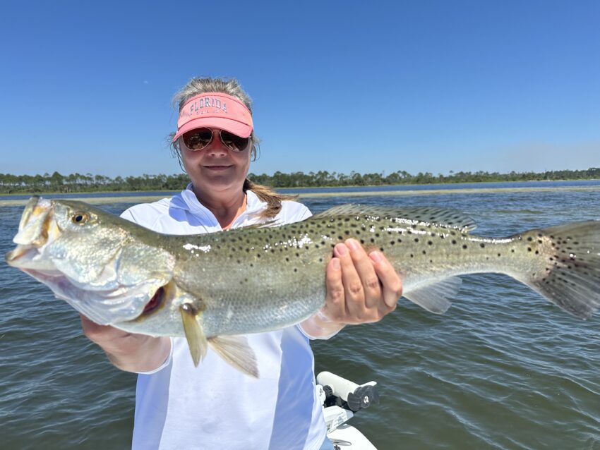 Speckled trout fishing charters in port st joe